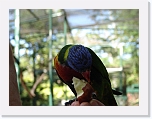 At_the _zoo (25) * 2048 x 1536 * (1.23MB)
